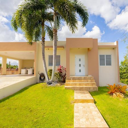 イサベラ Arenales Vacational Houseヴィラ エクステリア 写真
